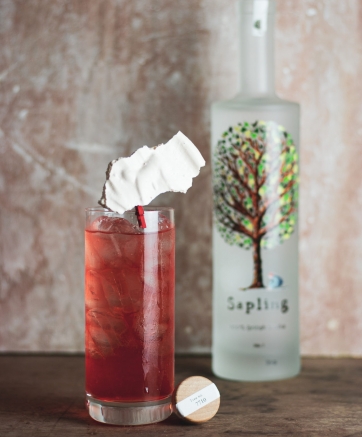 Sapling Spritz Cocktail Recipe